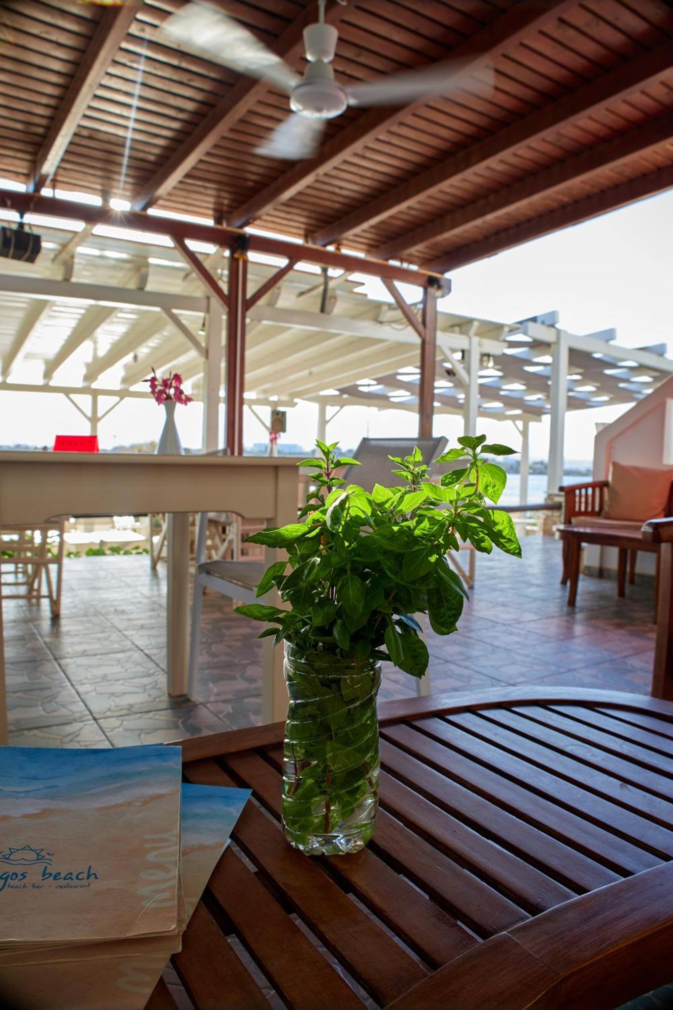 Theologos Beach Antiparos Town Extérieur photo
