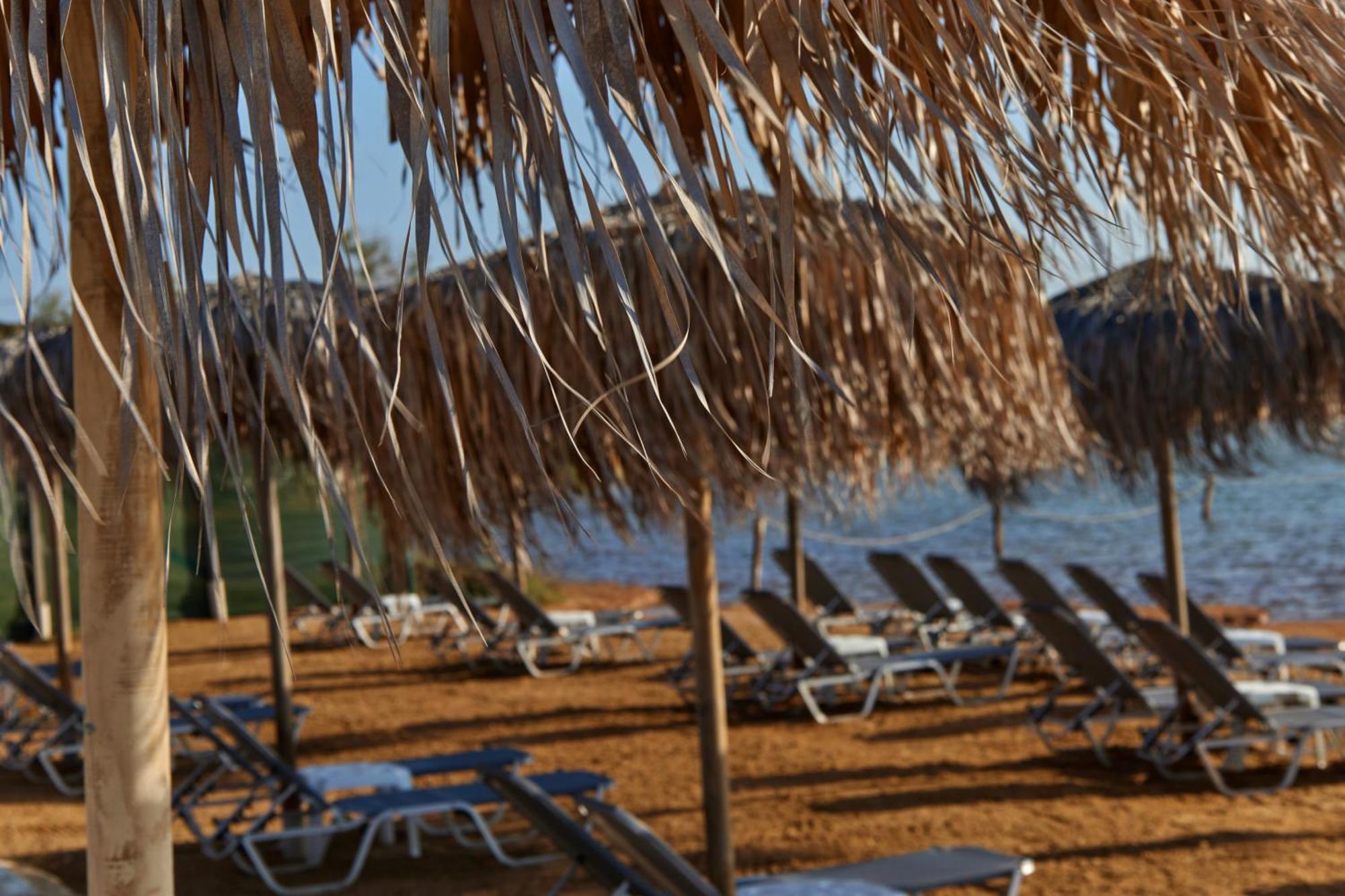 Theologos Beach Antiparos Town Extérieur photo