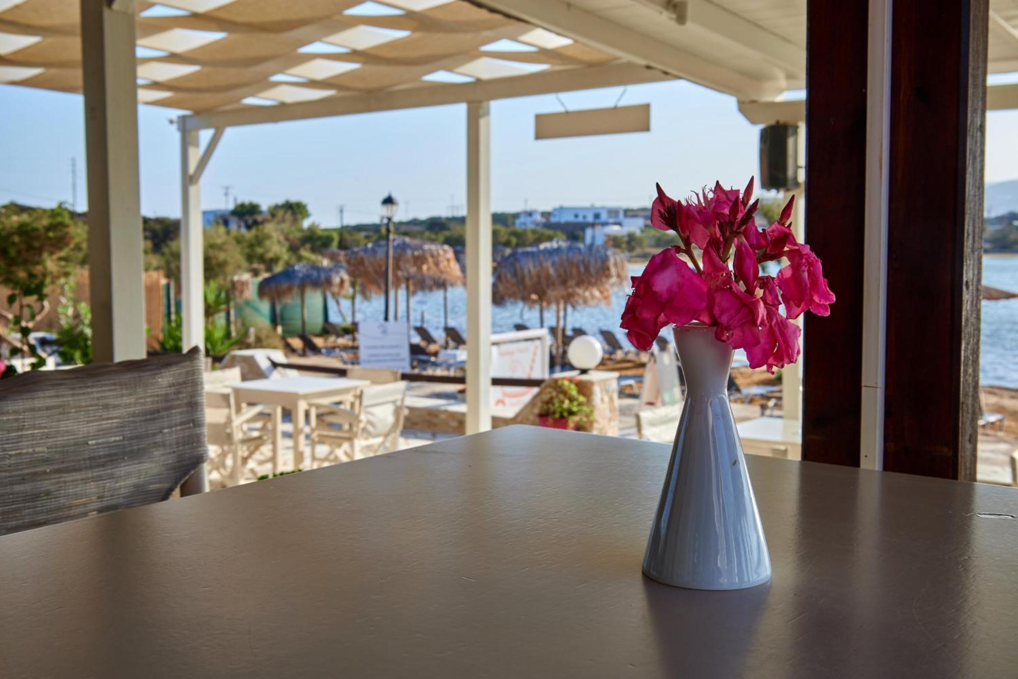 Theologos Beach Antiparos Town Extérieur photo